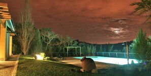 Vue nocturne d’une cour arrière avec une piscine, une pergola et un grand bac à plantes.