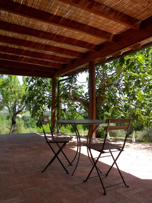 Gazebo - Fattoria di Colleoli (Palaia)