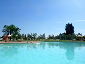 A swimming pool with lounge chairs and umbrellas, surrounded by trees and a clear sky. - Fattoria di Colleoli (Palaia)
