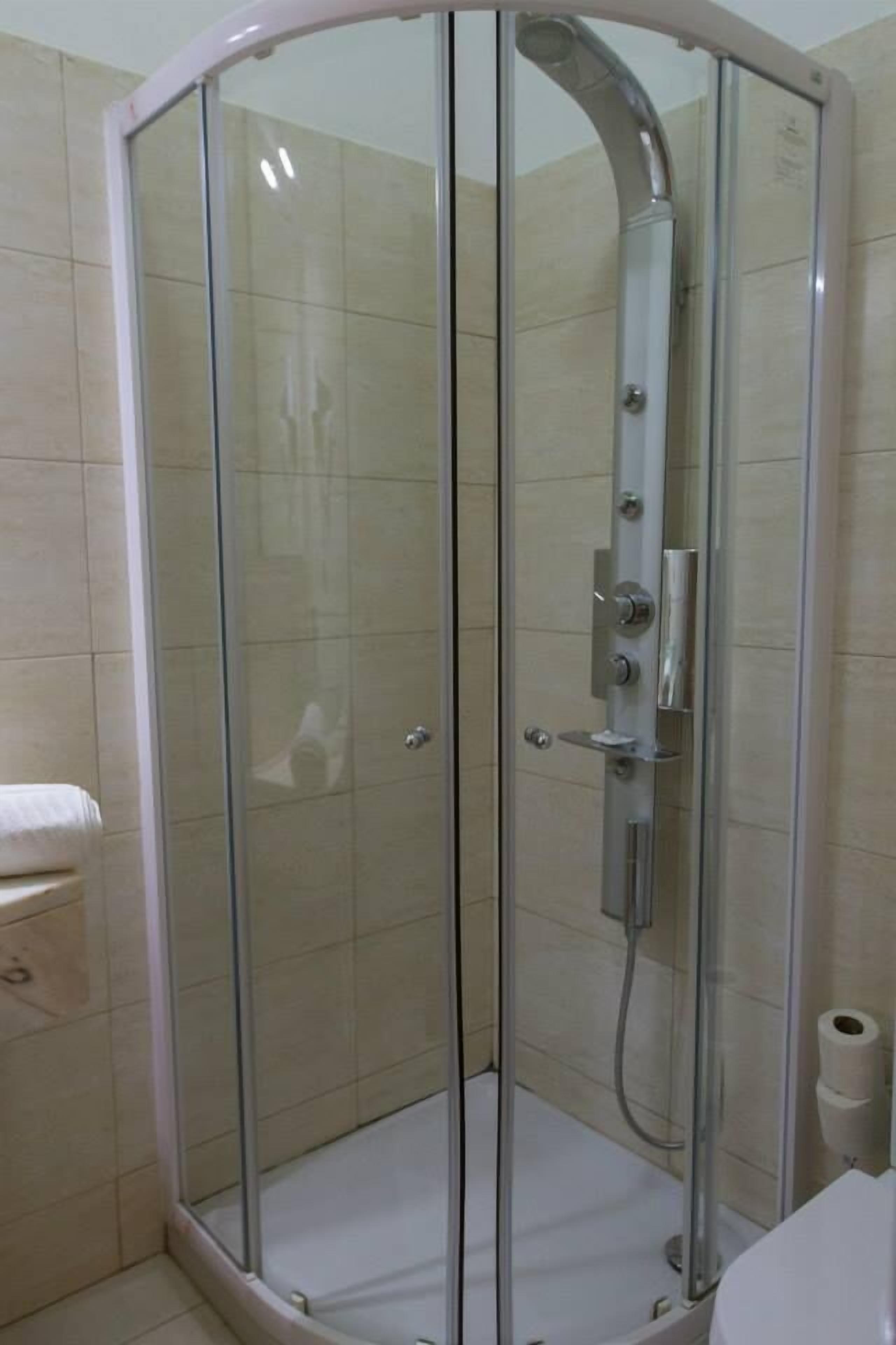 A glass-enclosed shower stall with a handheld showerhead, a toilet, and a roll of toilet paper on the wall.