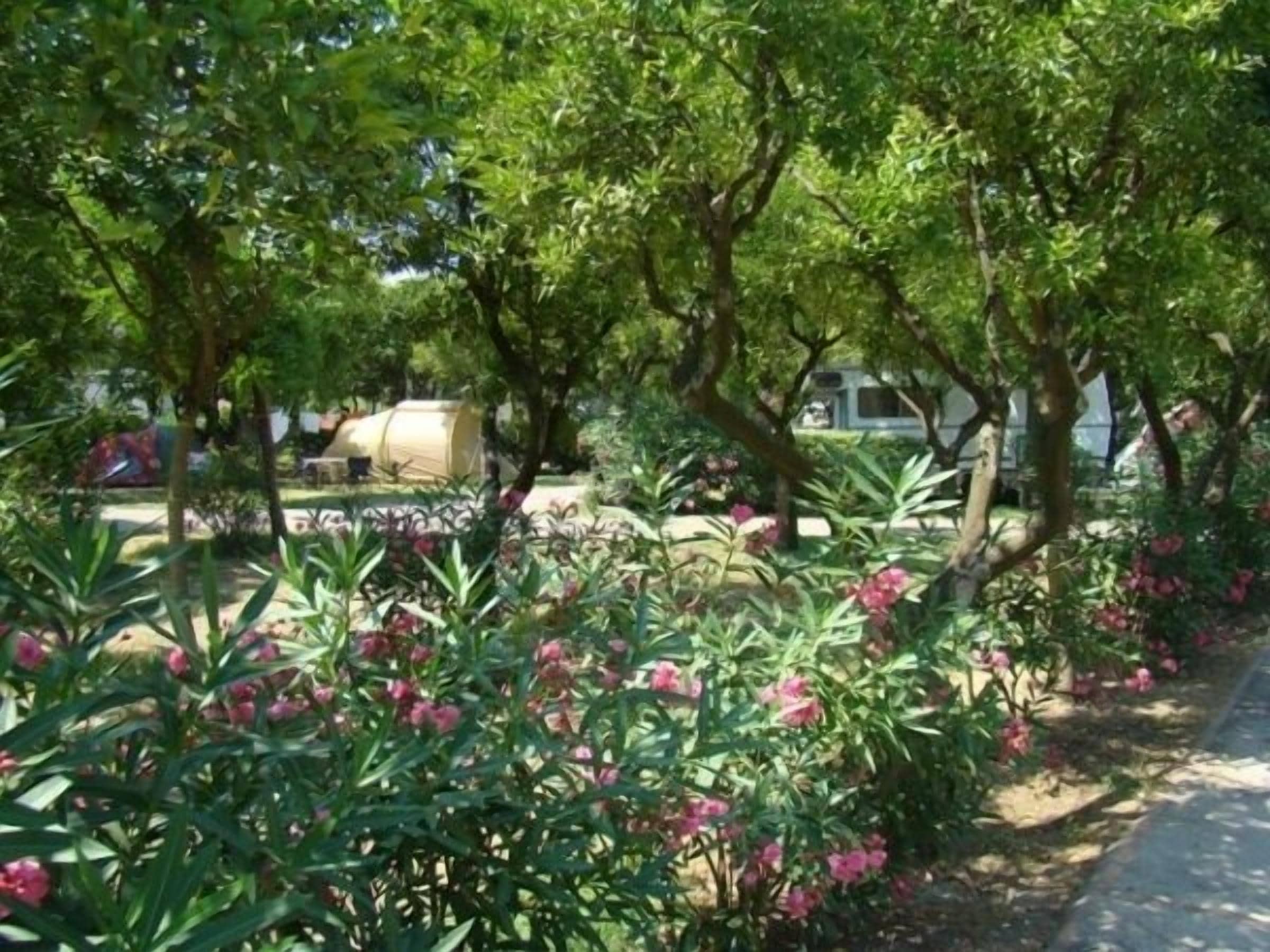 Foto - Hotel Zeus