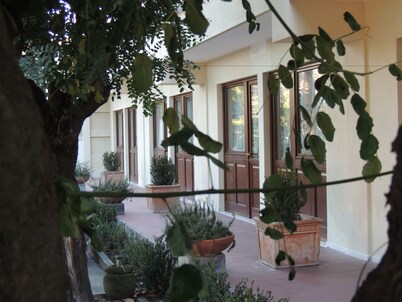 Hotel Zeus Pompei