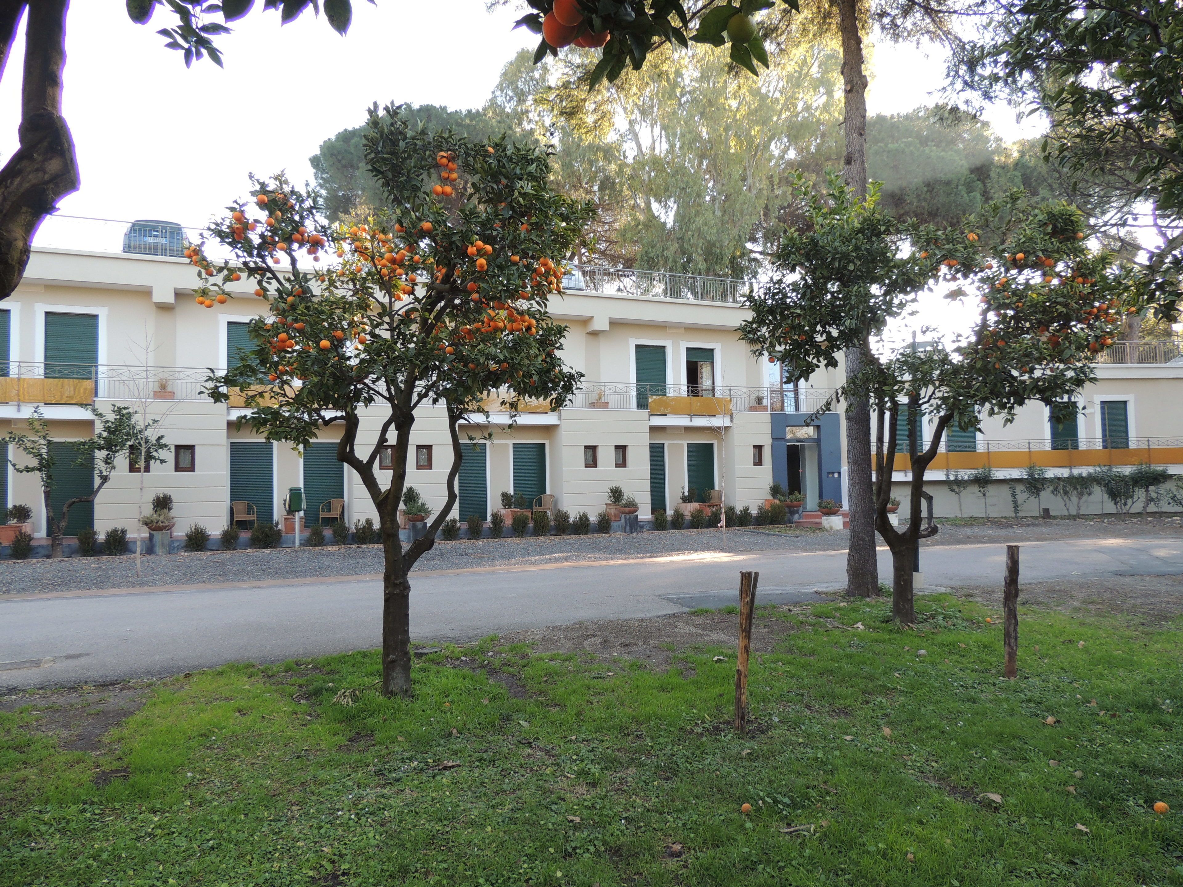 Uma fileira de edifícios de dois andares com varandas, cercada por árvores com frutos laranja.