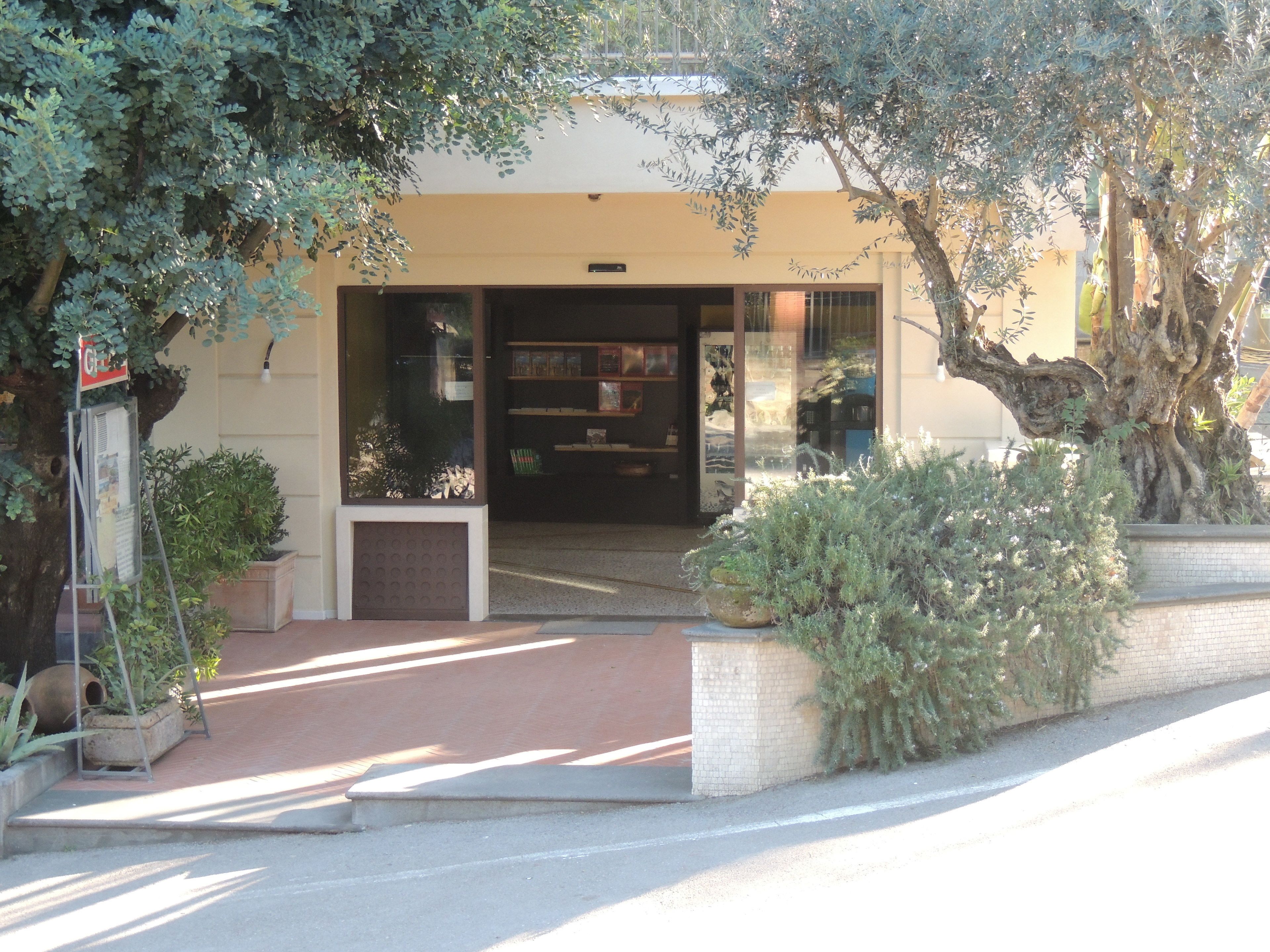 Foto - Hotel Zeus