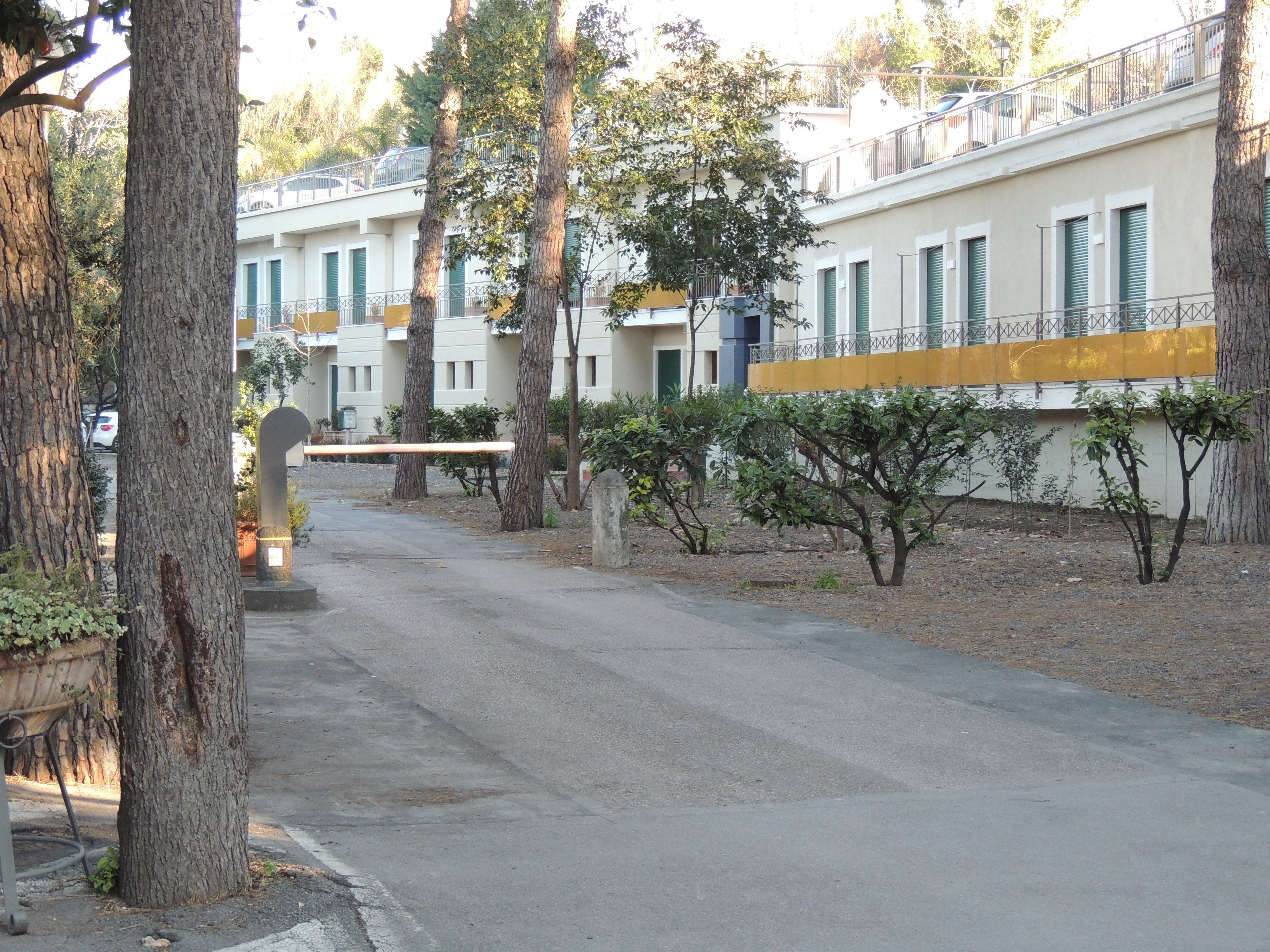 Una calle residencial con árboles y una hilera de edificios blancos con persianas verdes.