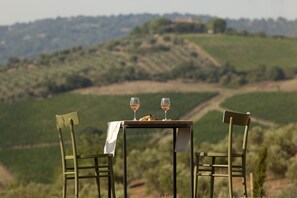 Land view from property - Casale Sterpeti (Magliano in Toscana)
