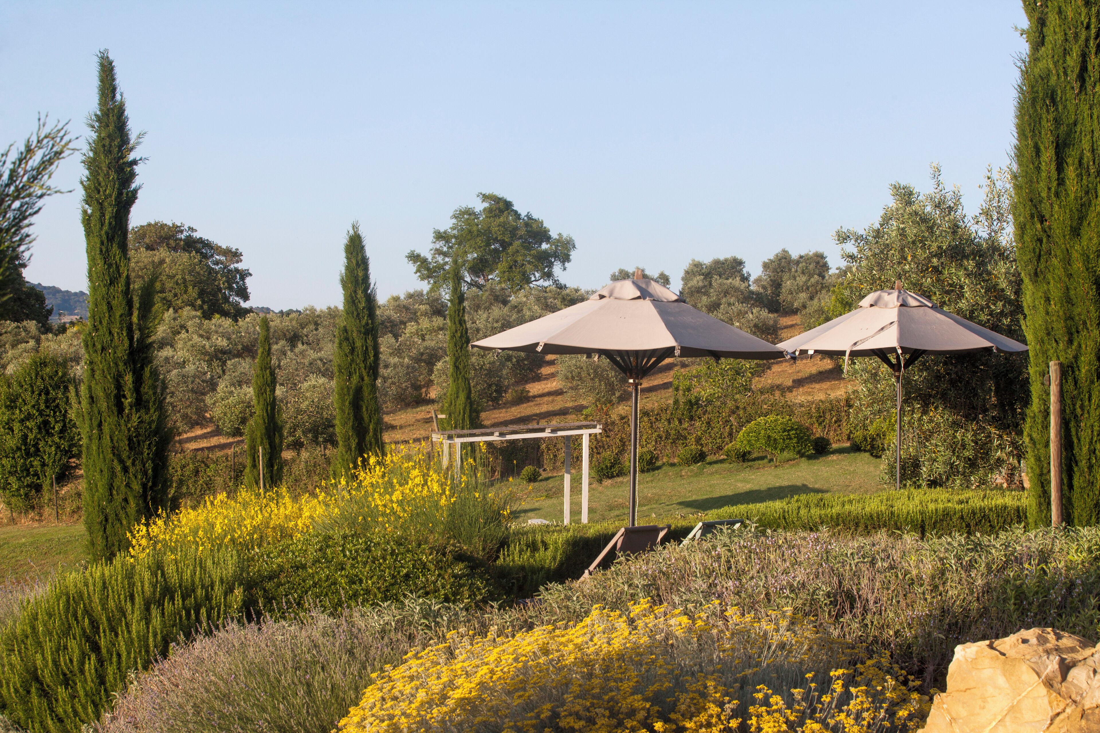 Ein Garten mit zwei Sonnenschirmen, einer Pergola und verschiedenen Pflanzen.