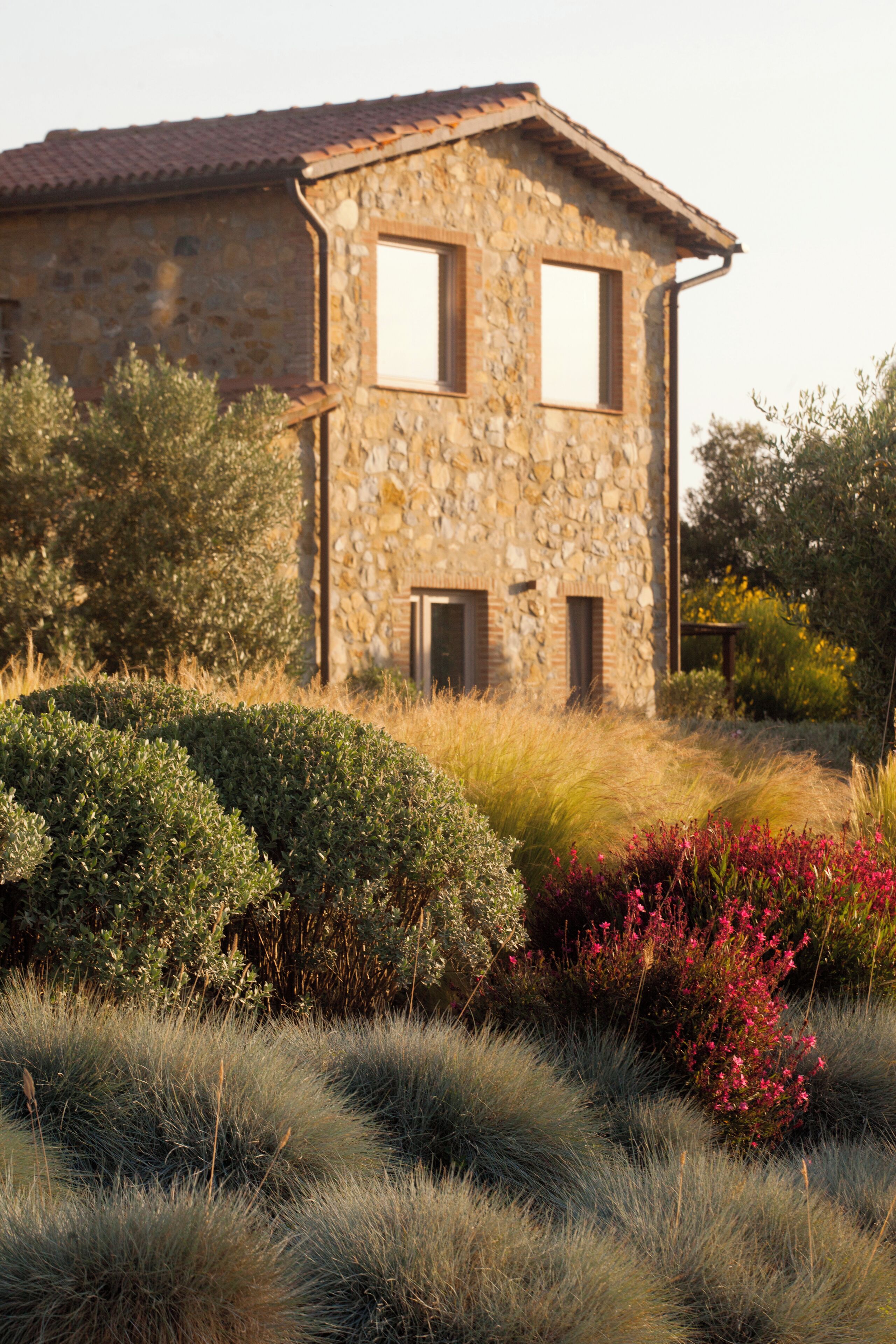 A stone building with two windows and a door, surrounded by various shrubs and grasses.