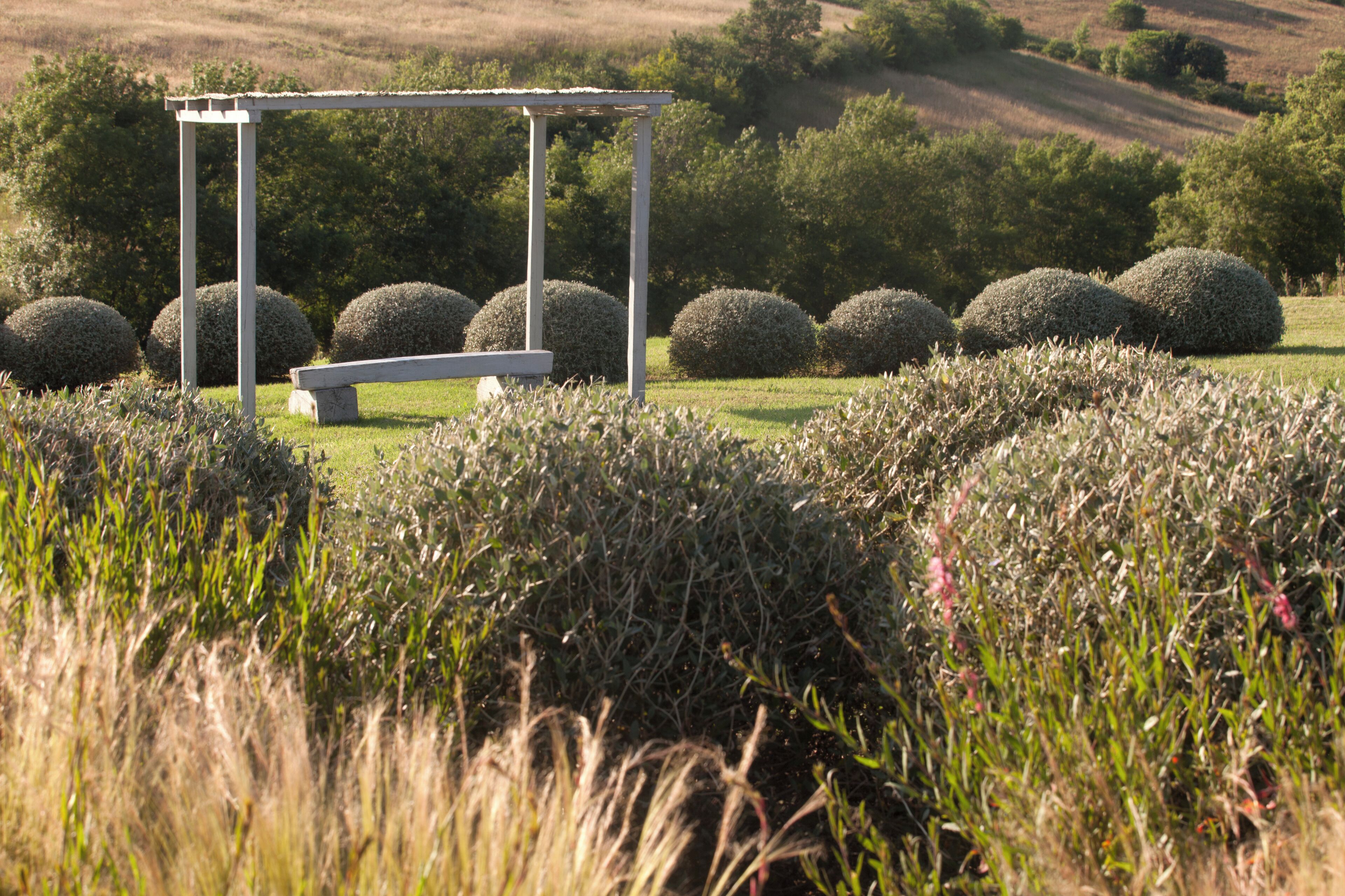 A garden with a wooden pergola and a bench.