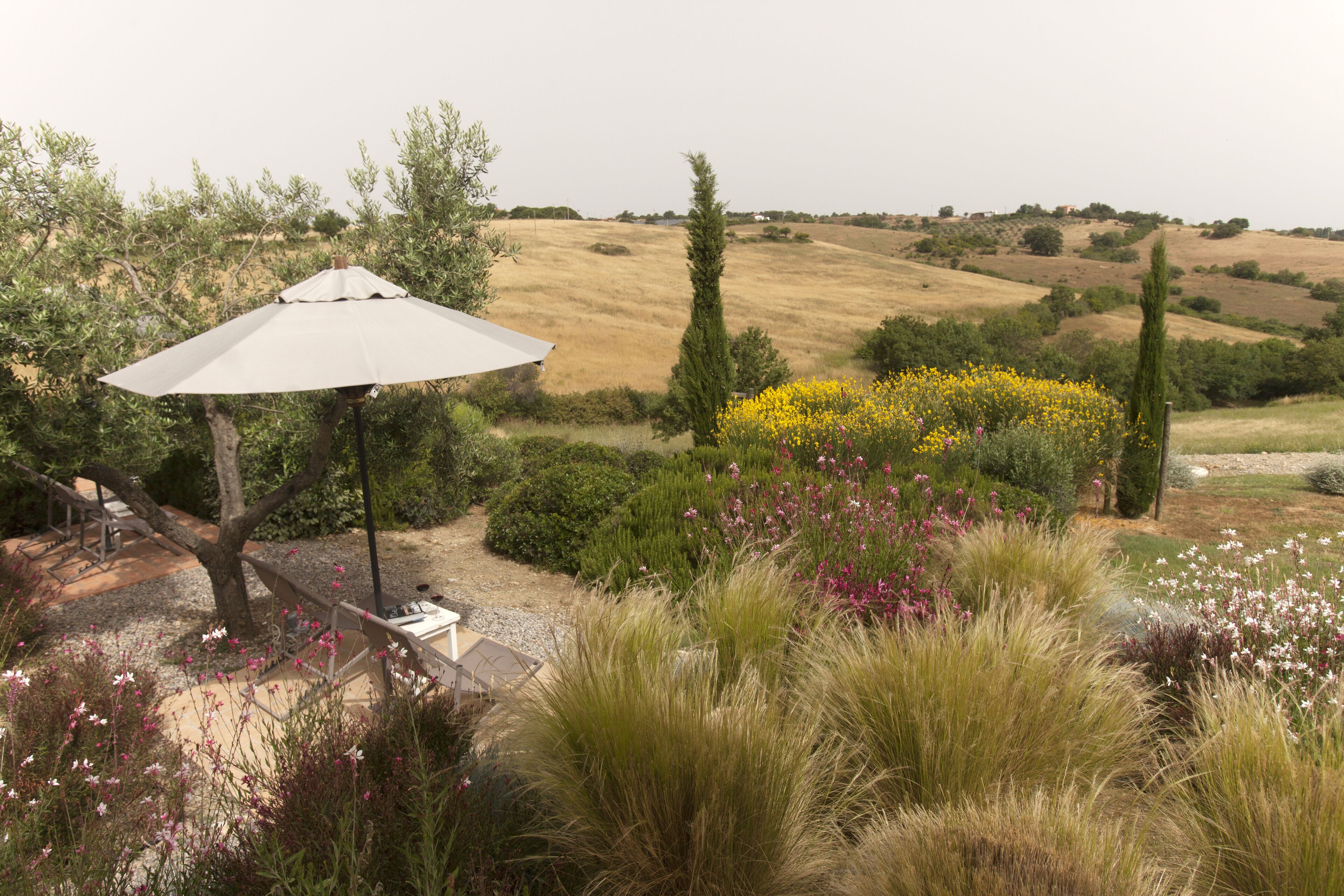 A garden with a white umbrella, a bench, and a view of rolling hills.