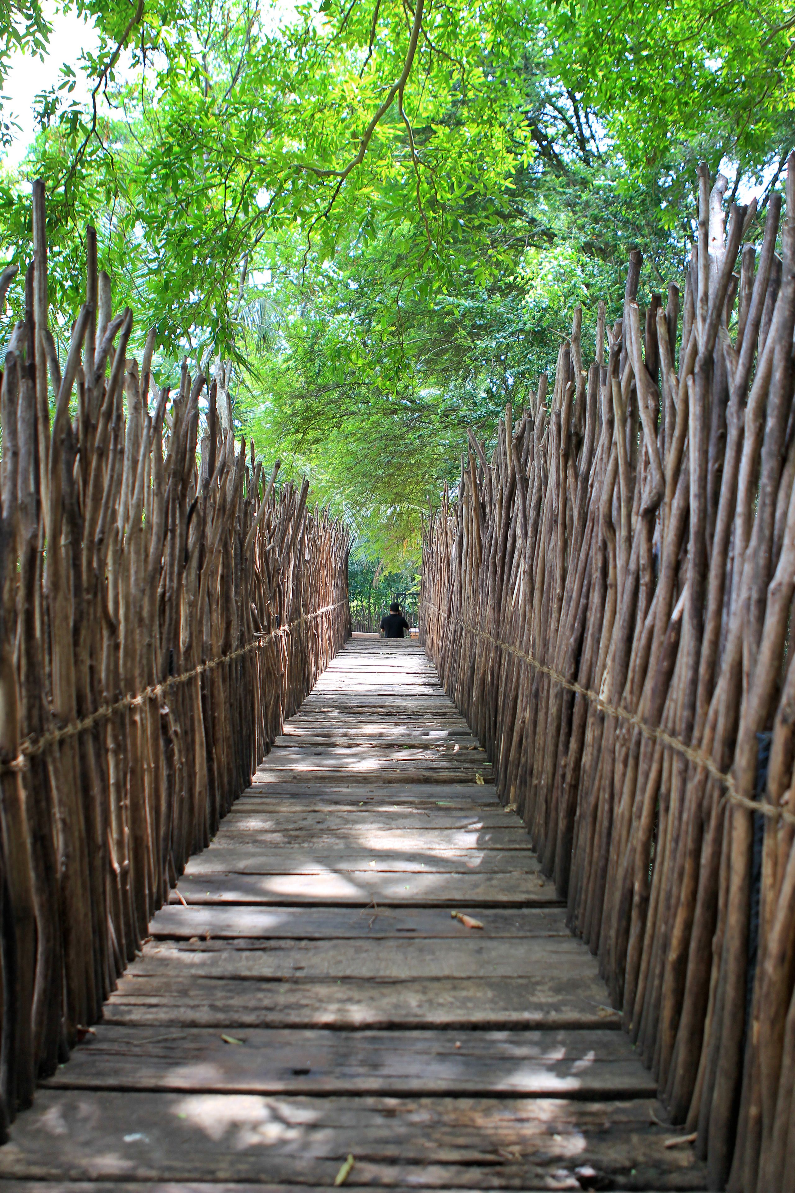 A wooden pathway flanked by bamboo walls, leading into a forested area.