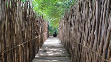 A wooden pathway flanked by bamboo walls, leading into a forested area.