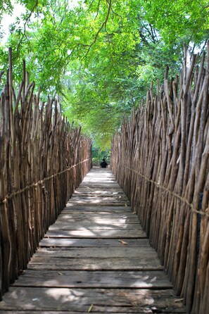 Un sendero de madera bordeado por paredes de bambú que conduce a una zona boscosa.