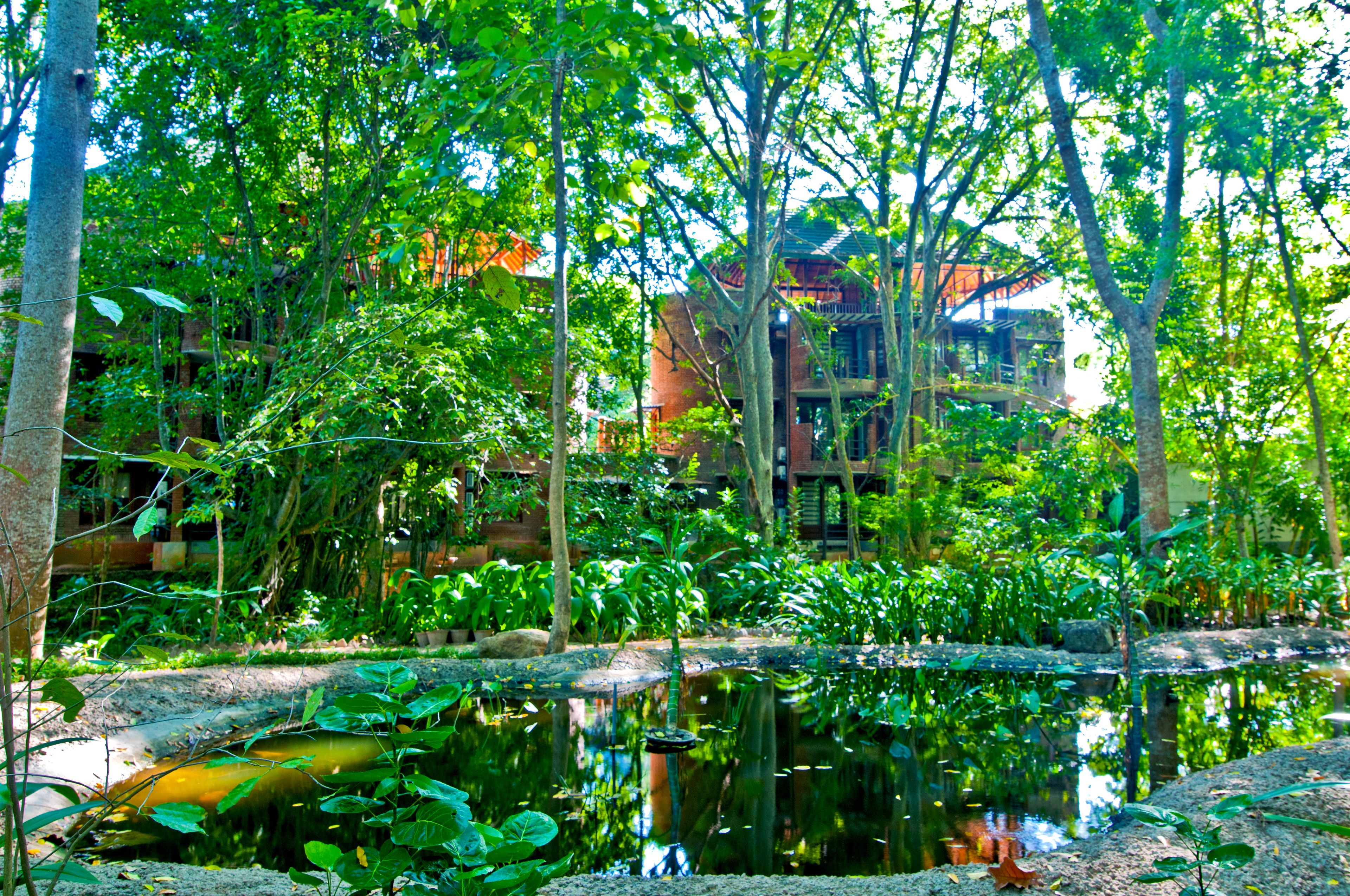 Un exuberante jardín con un estanque, follaje denso y un edificio con varios balcones al fondo.