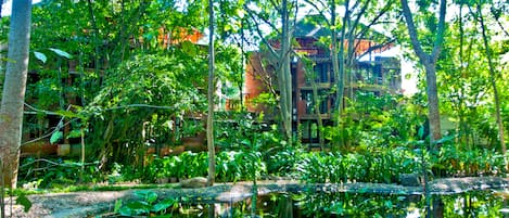 Un exuberante jardín con un estanque, follaje denso y un edificio con varios balcones al fondo.