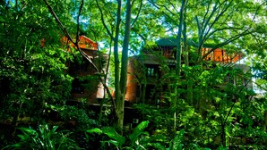 Una estructura tipo casa en un árbol rodeada de follaje denso, con varios niveles y techo de paja.