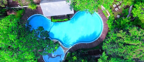 Piscine extérieure, parasols de plage, chaises longues