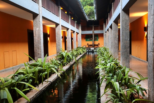 Jardim
