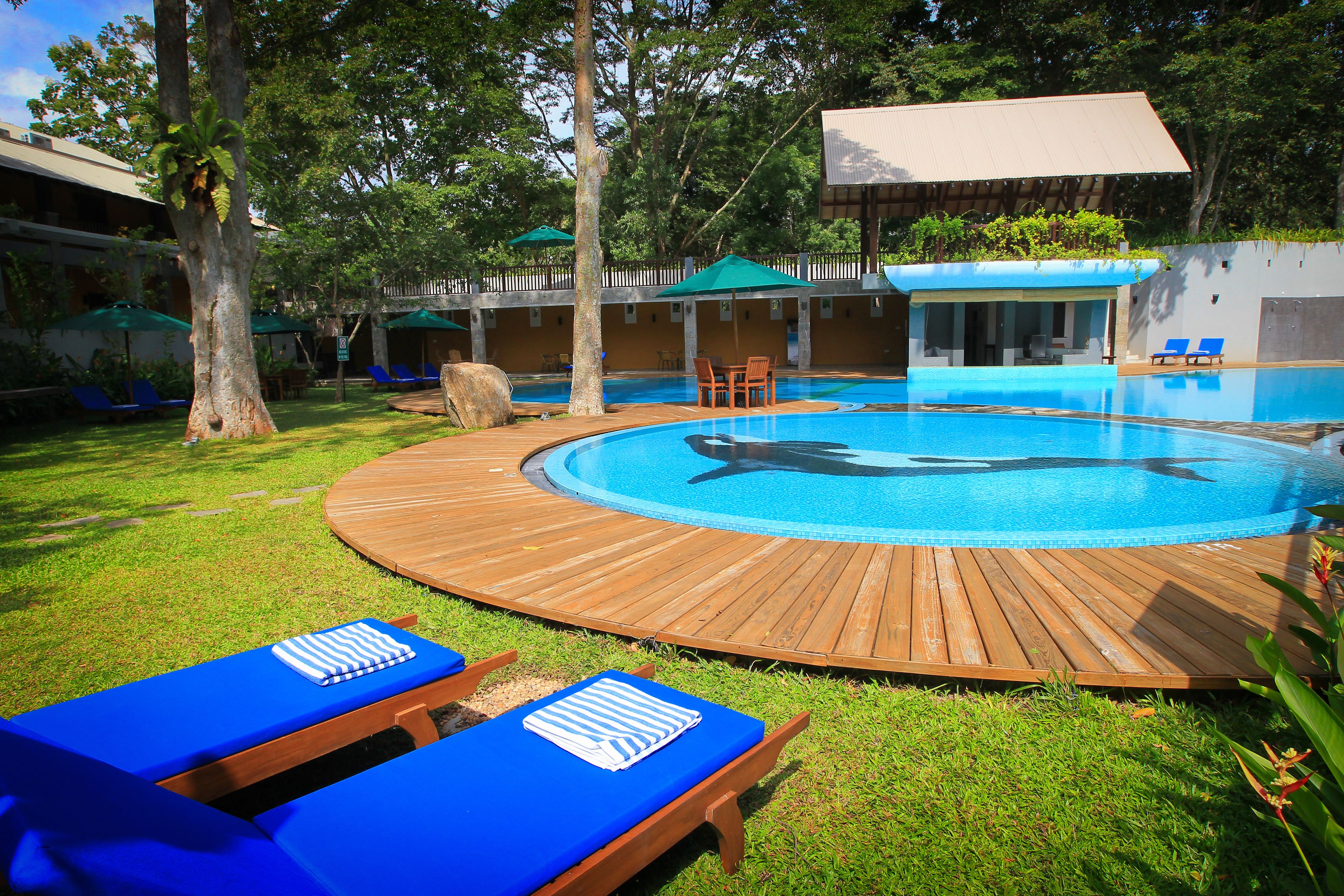A pool with a dolphin mural, surrounded by wooden deck chairs and lounge areas with blue cushions.