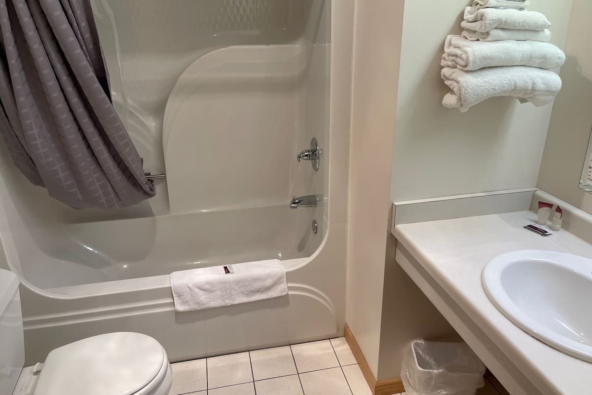 standard room, 1 queen bed | living area | 43-inch tv with premium tv channels