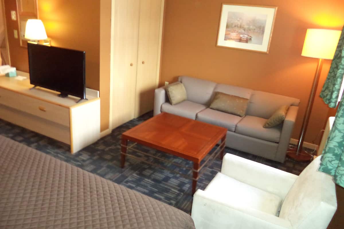 economy suite, 1 king bed, kitchenette | living area | 43-inch tv with premium tv channels