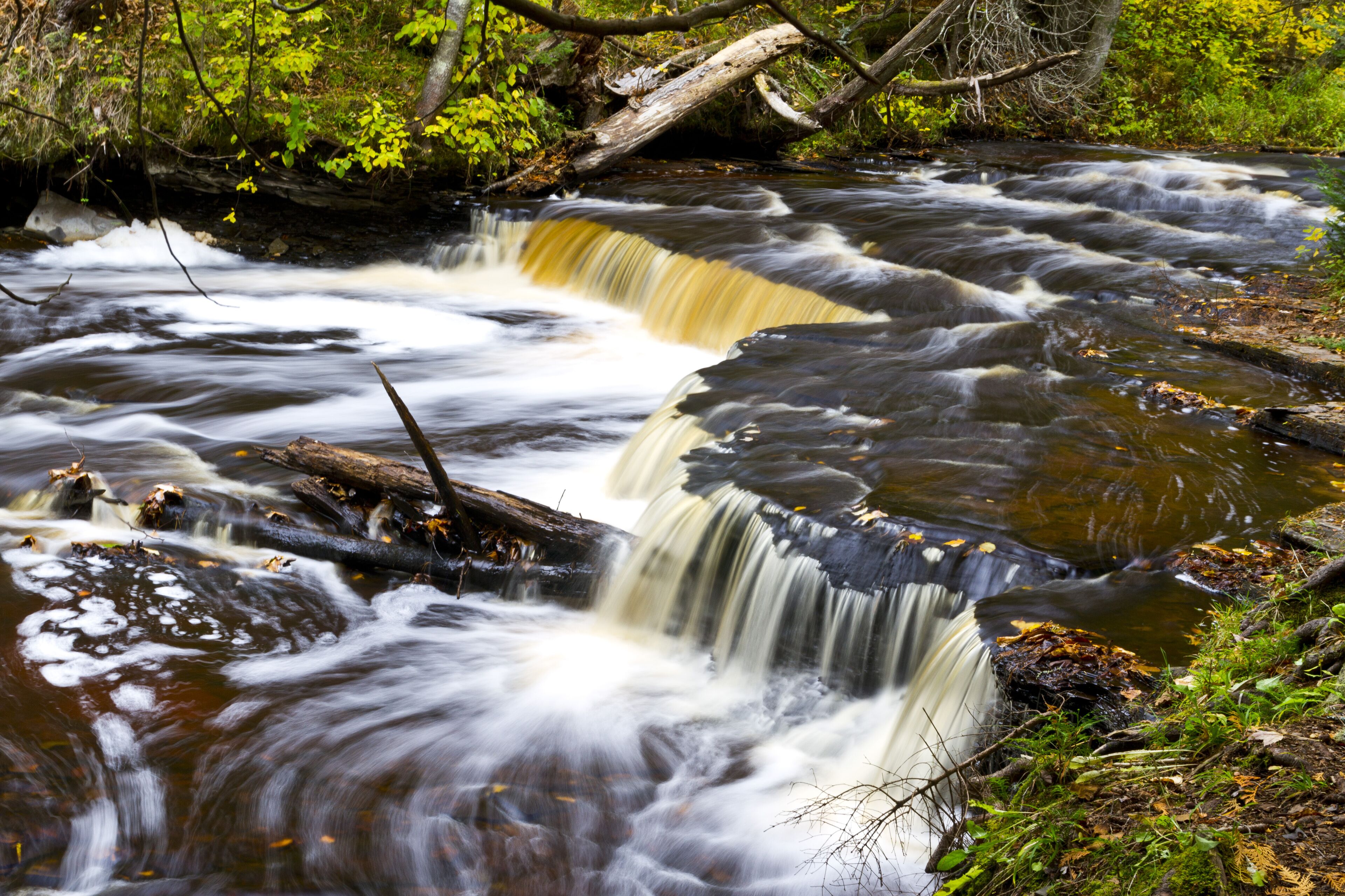 Un río con varias cascadas rodeado de vegetación.