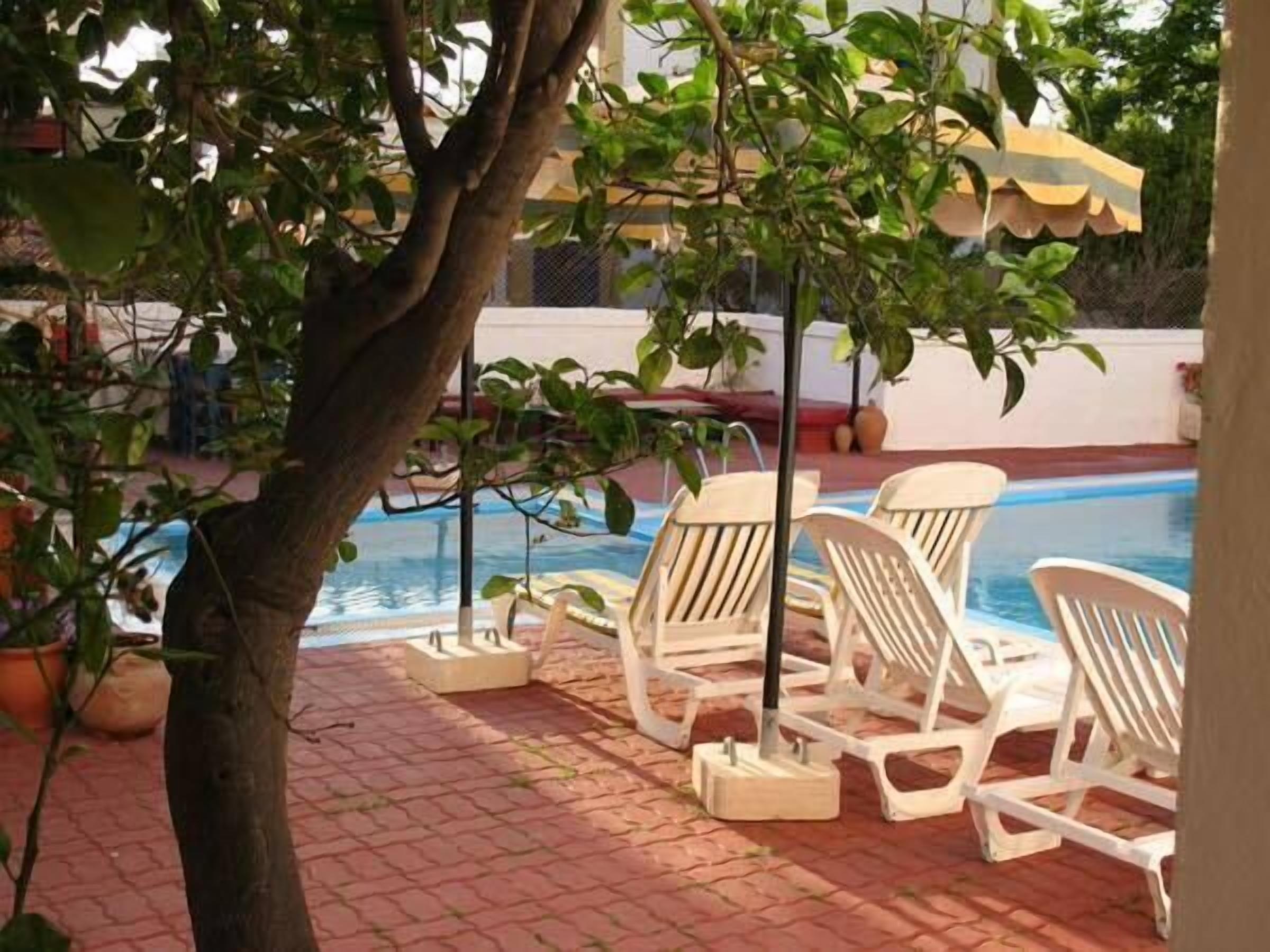 Photo - Platoni Elite