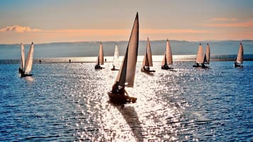 A group of sailboats on a calm body of water with a clear sky in the background.