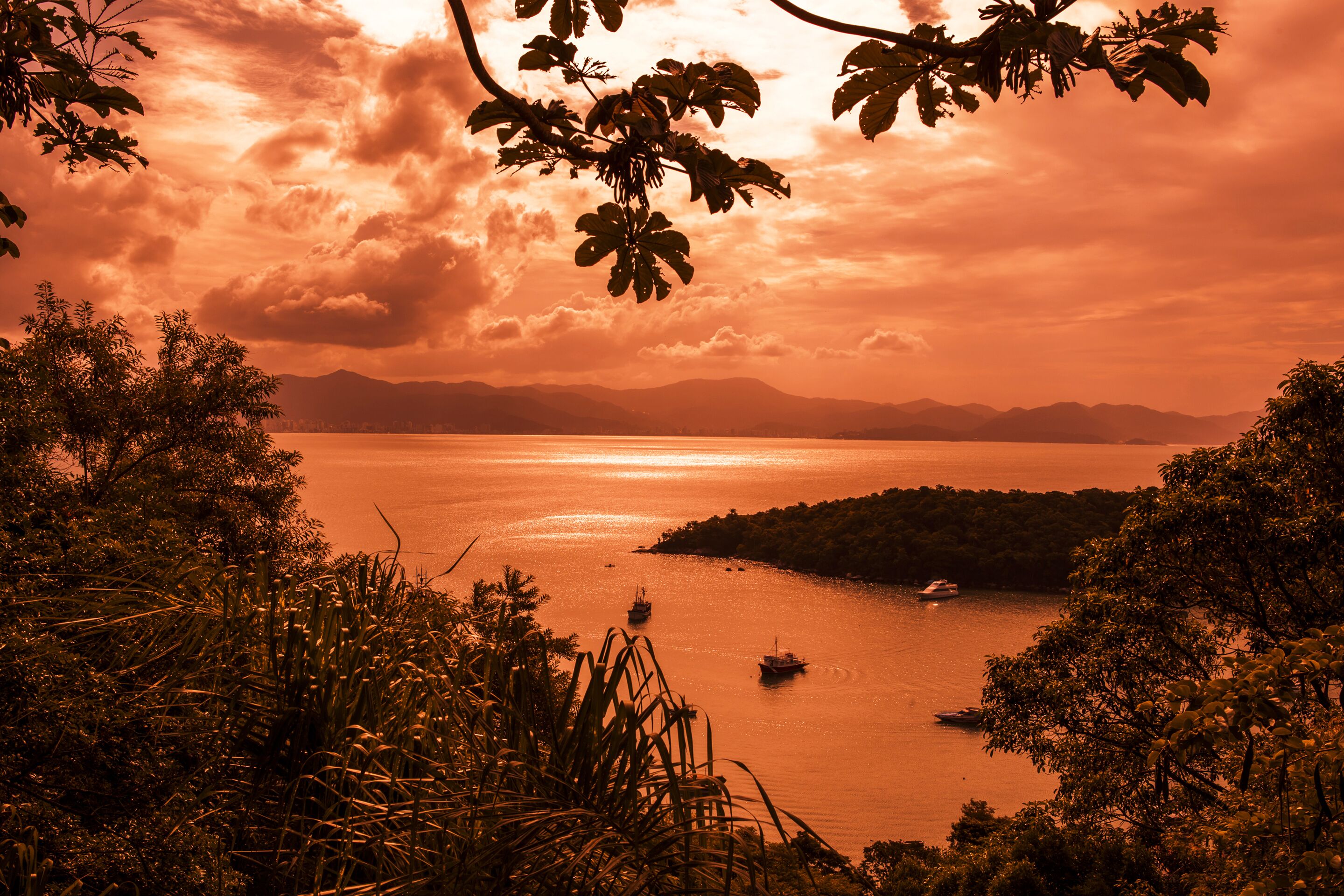 beach nearby, beach umbrellas