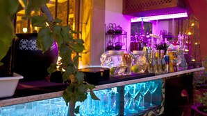 Un espace bar avec des étagères remplies de verres et de bouteilles, un présentoir réfrigéré contenant des verres, et une plante au premier plan.