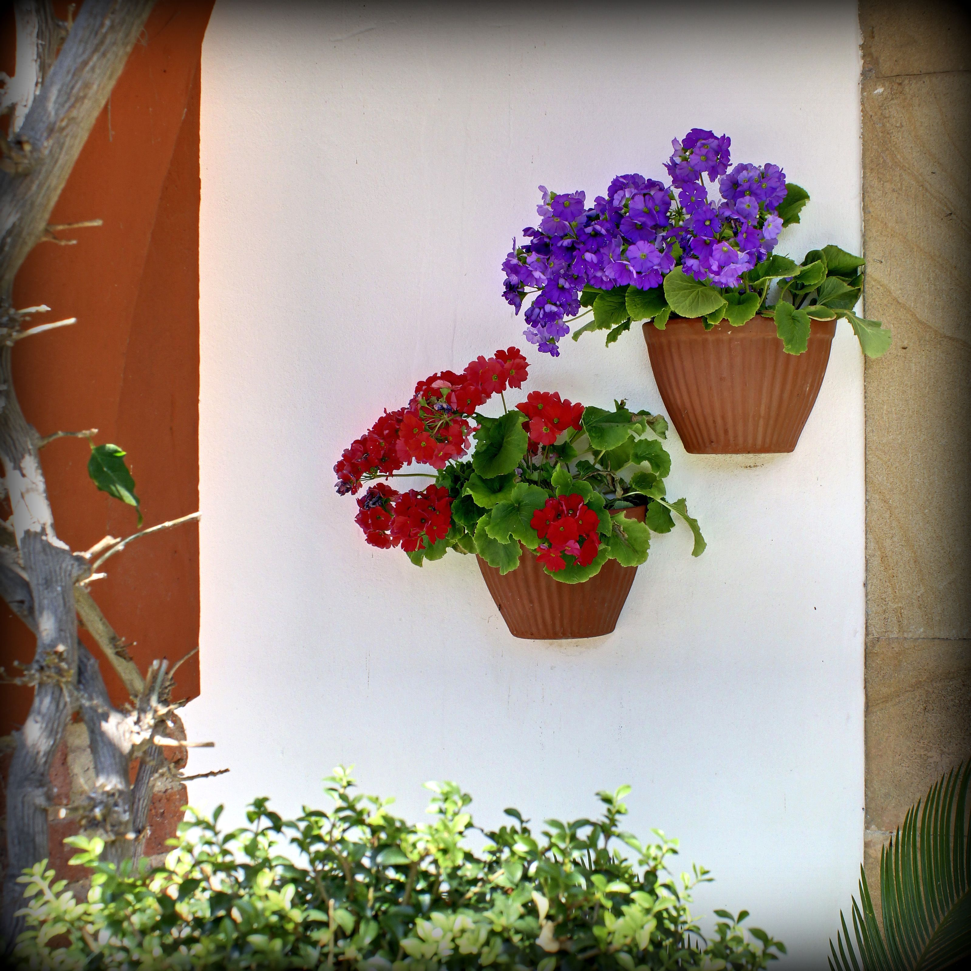 Foto - Mar Del Sueve