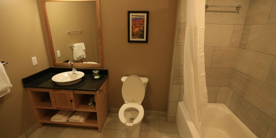 free toiletries, hair dryer, towels