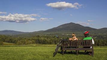 A bench in a grassy field with a mountain in the background.