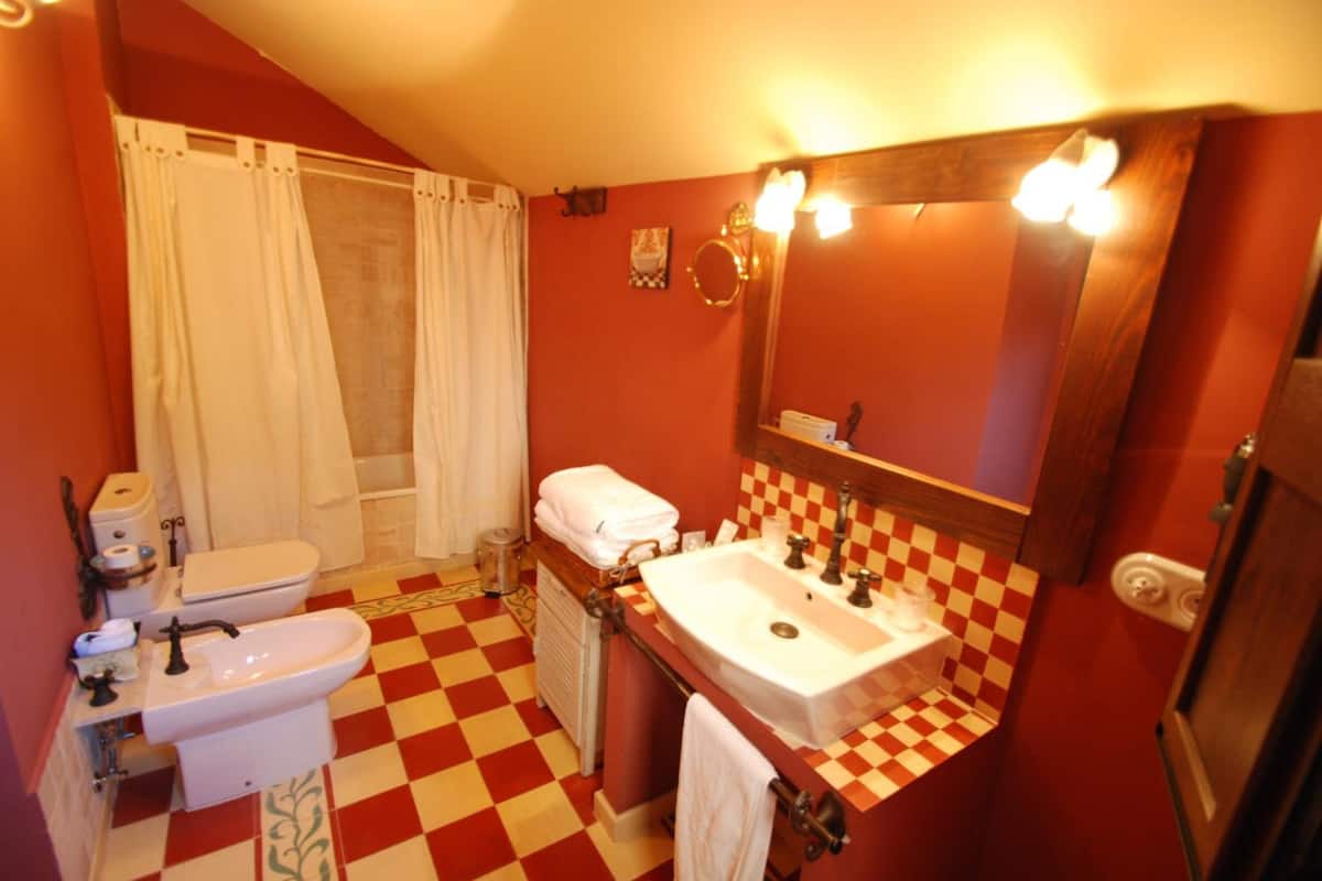 hair dryer, bidet, soap, shampoo