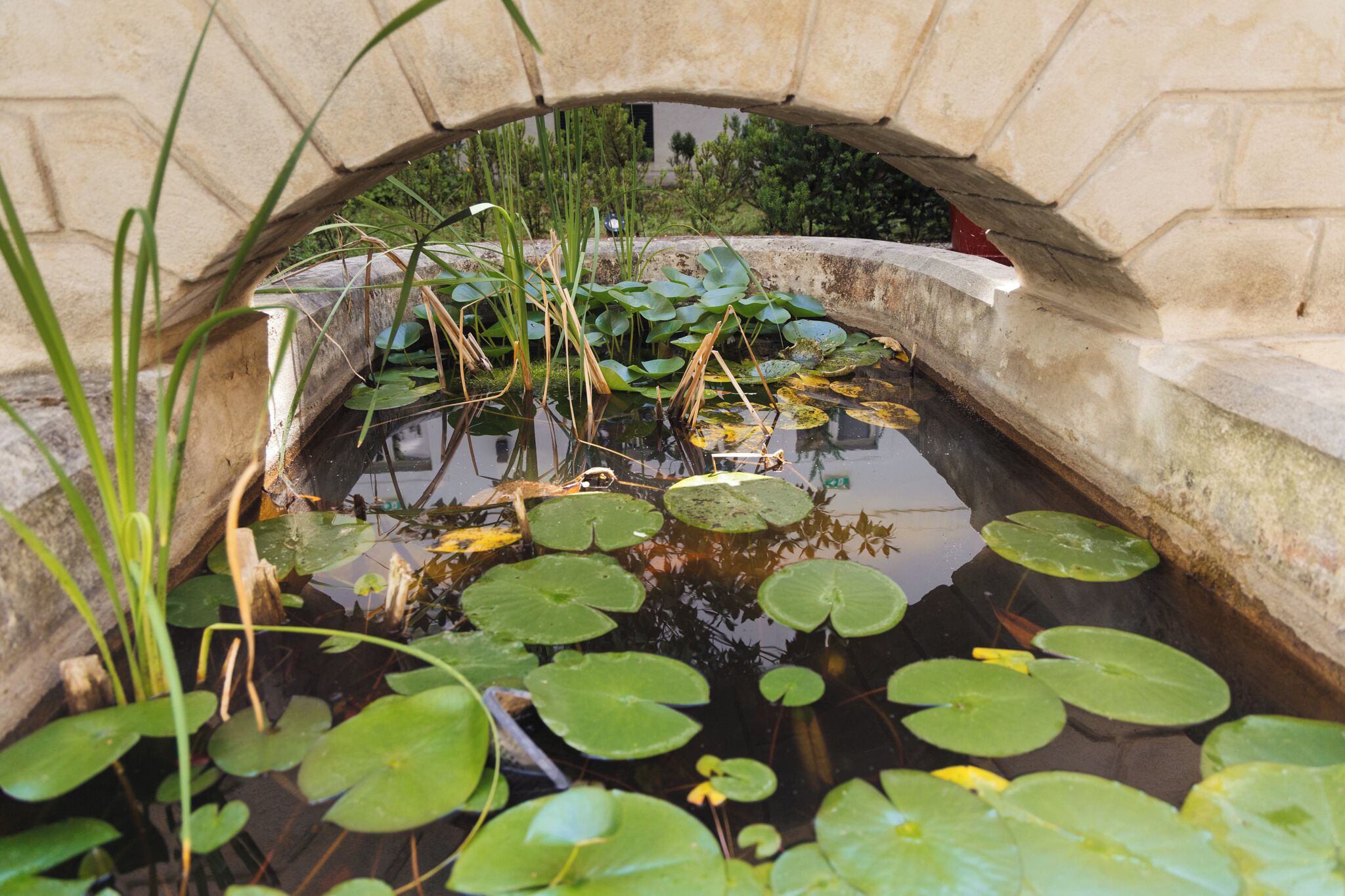 daily buffet breakfast (eur 17 per person)