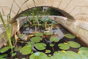 Dagelijks ontbijtbuffet (toeslag)