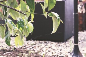 Hytte | Terrasse/gårdhave