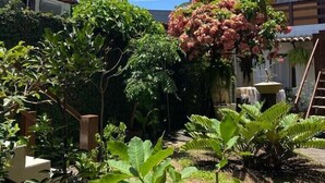 A residential garden with a variety of plants and a small fountain.
