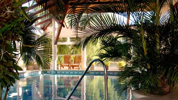 An indoor swimming pool surrounded by lush greenery and a wooden deck.