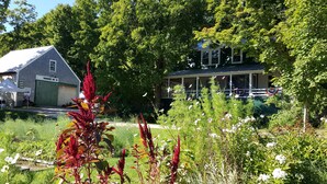 A house with a porch, surrounded by lush greenery and various plants. - The Farmstand Bed & Breakfast (Chocorua)