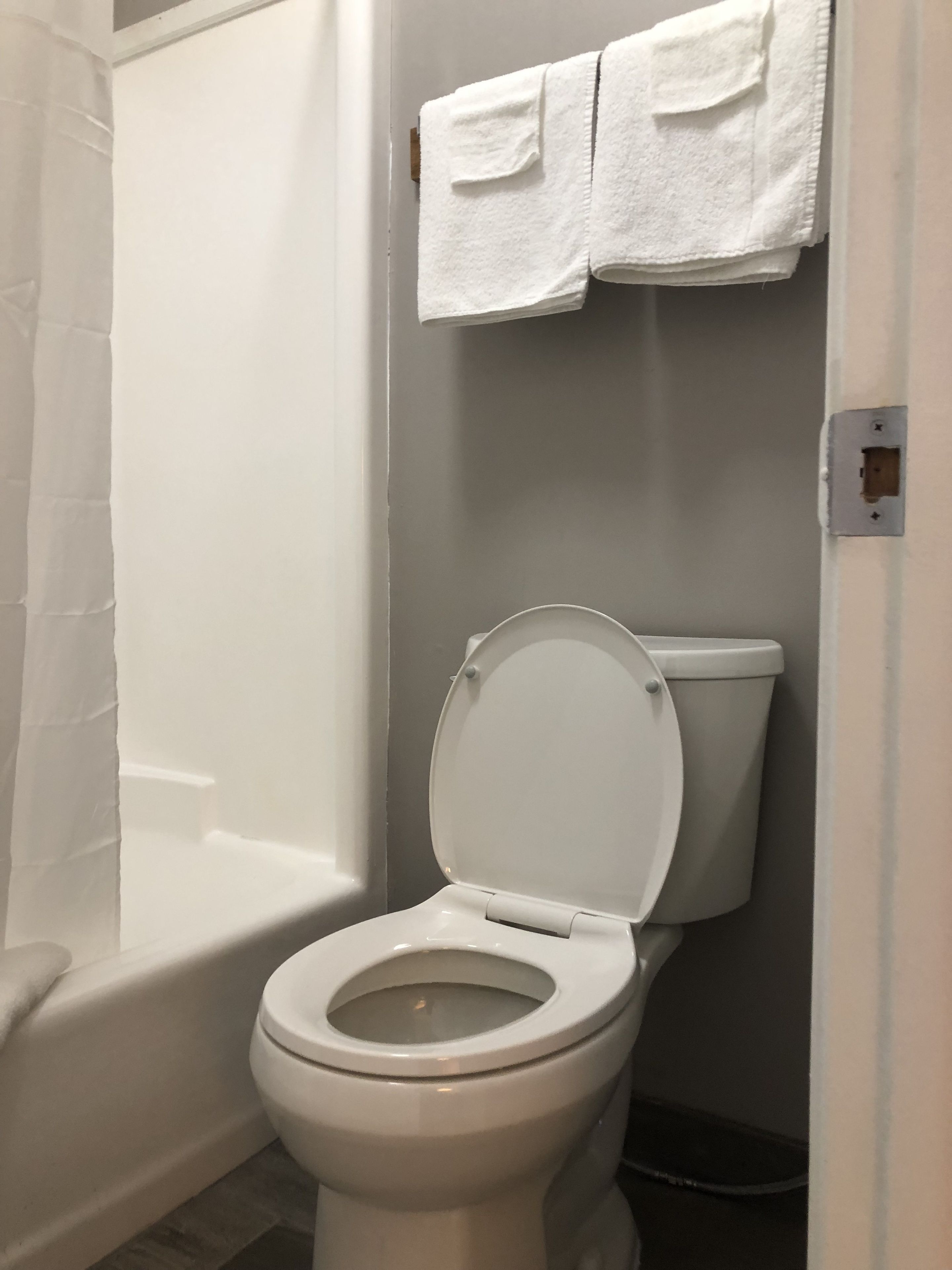 deluxe suite, 1 king bed, refrigerator & microwave | desk, iron/ironing board, free wifi, bed sheets