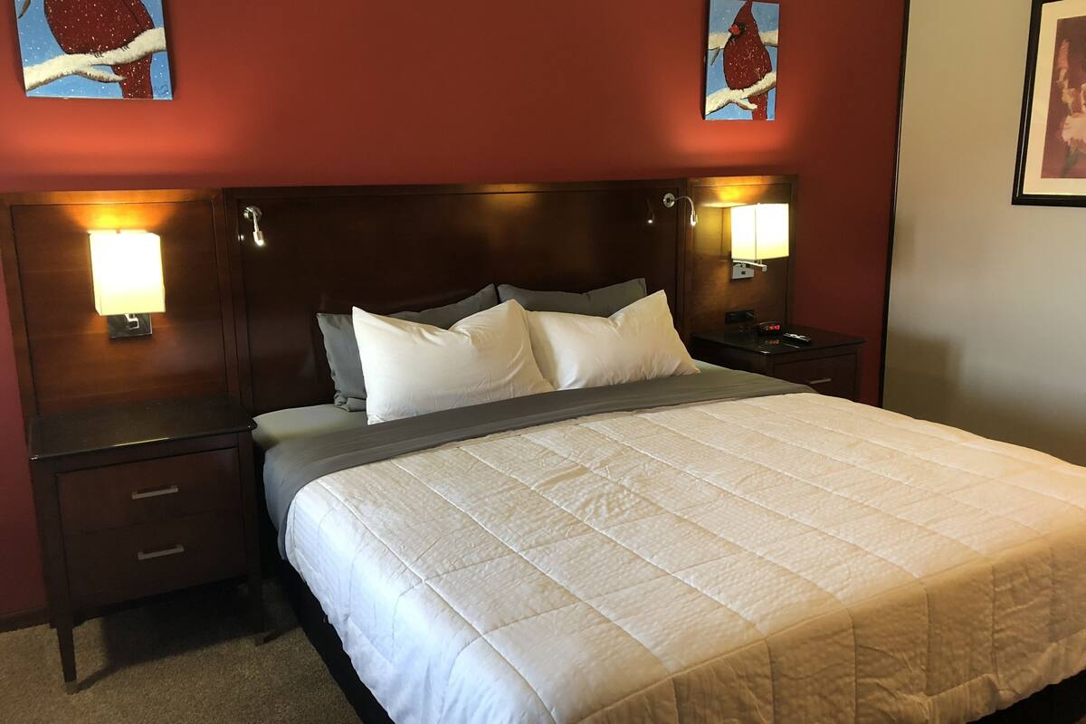 deluxe suite, 1 king bed, refrigerator & microwave | desk, iron/ironing board, free wifi, bed sheets