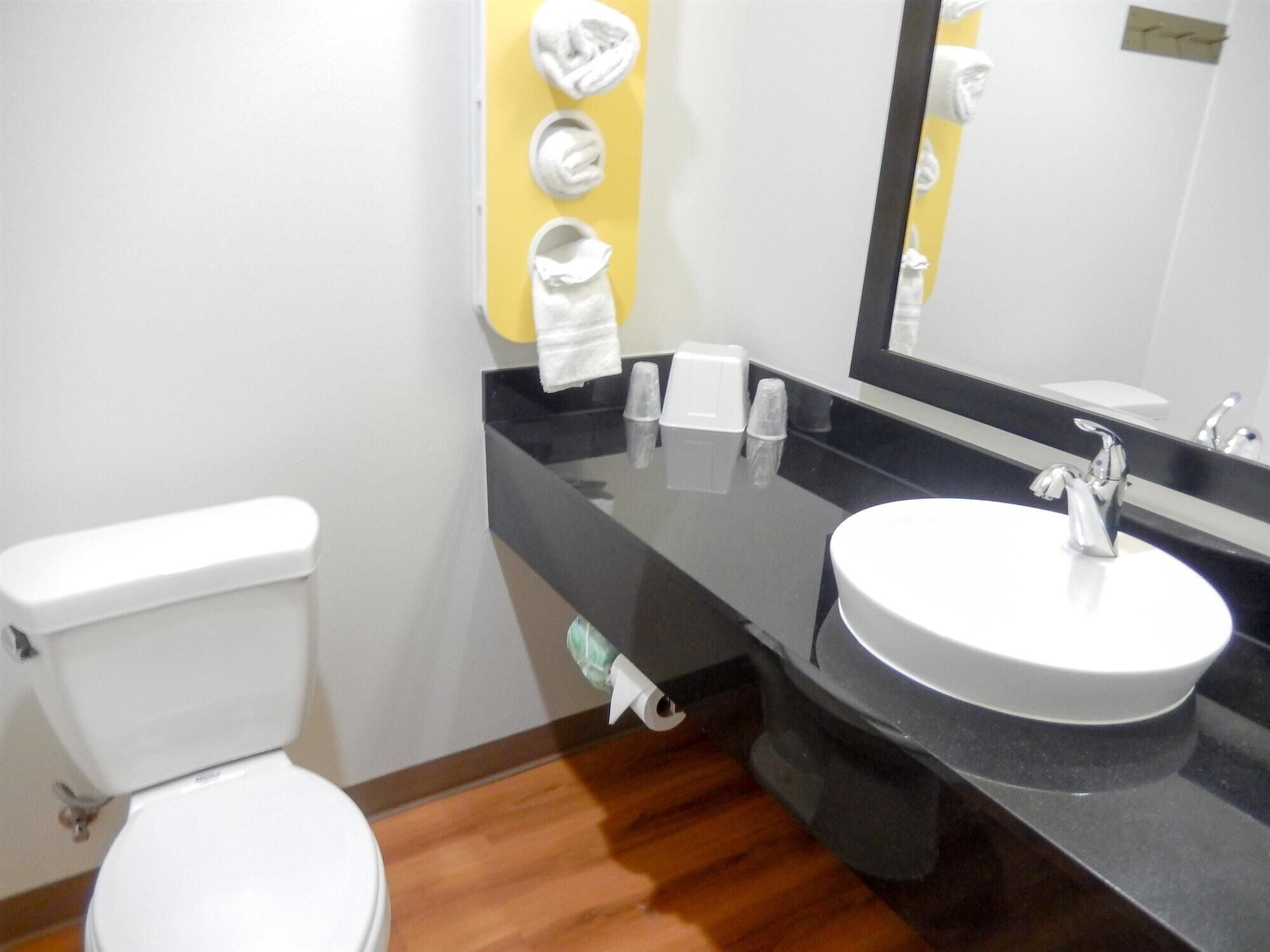 Ein Badezimmer mit Toilette, Waschbecken in Schwarz und einem Spiegel.