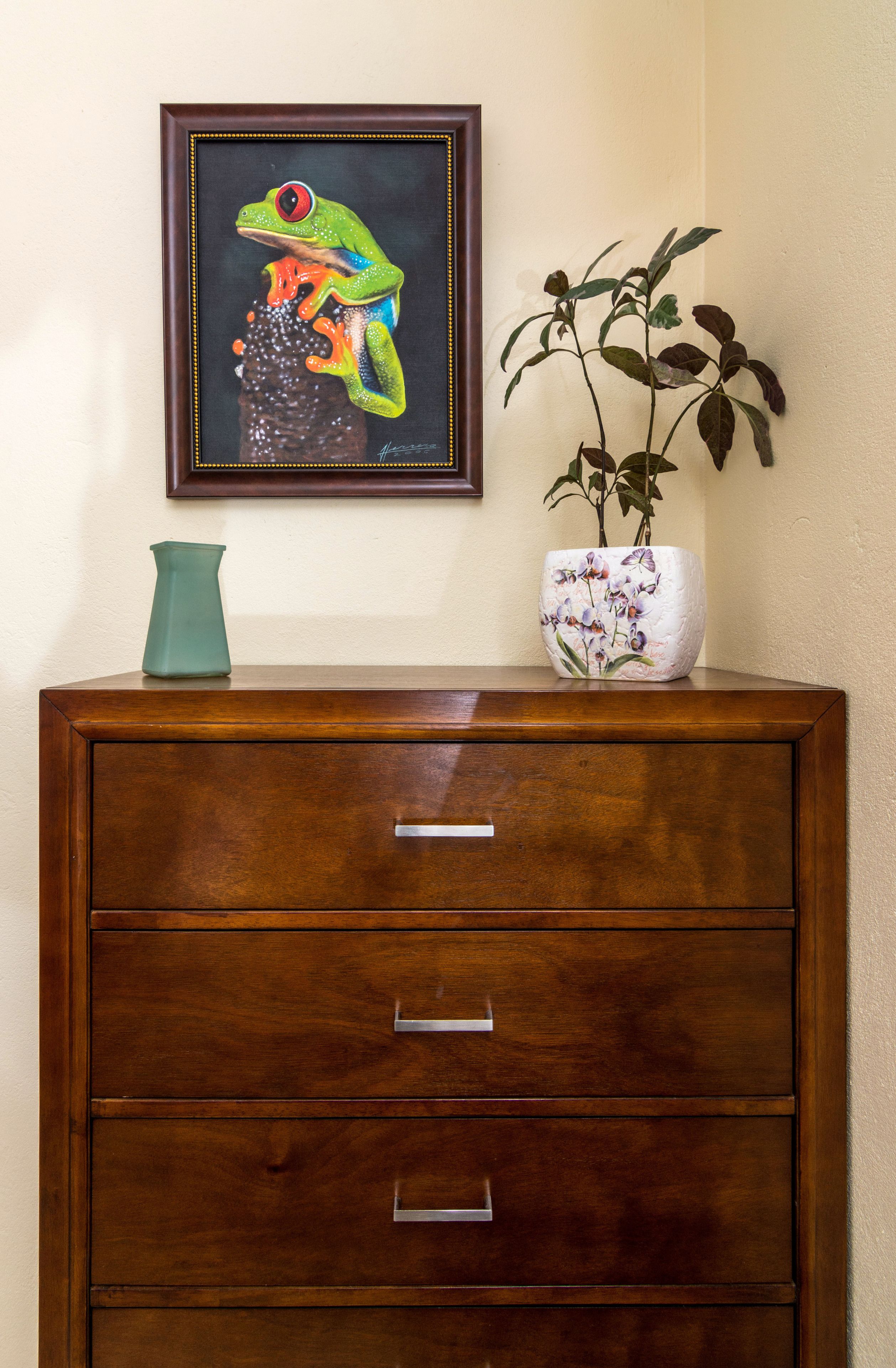 Un mueble de madera con tres cajones, un cuadro enmarco de una rana y una planta en maceta encima.