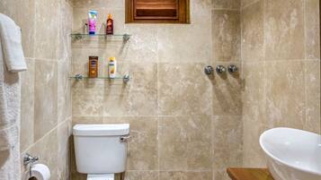 A bathroom with a toilet, sink, and shower area.