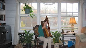 Una sala de estar acogedora con un ventanal grande, una chimenea y varias plantas.