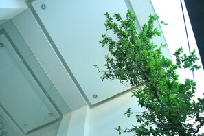 Un intérieur de bâtiment moderne doté d’un grand plafond en verre et d’un arbre aux feuilles vertes.