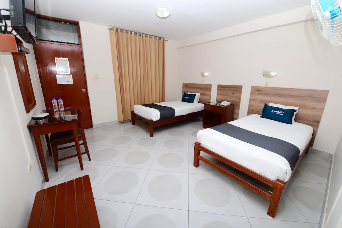Habitación con 2 camas individuales | Ropa de cama hipoalergénica, edredón y minibar