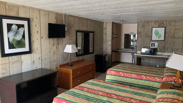 A hotel room with wooden walls, a bed with a colorful striped bedspread, a desk with a computer and a microwave, a television, a dresser, and a mirror. - Loma Alta Motel (Laredo)