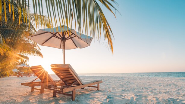 Une scène de plage avec des chaises longues en bois et un parasol de plage sous un palmier.